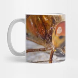 Red Dragonfly Macro Photograph Mug